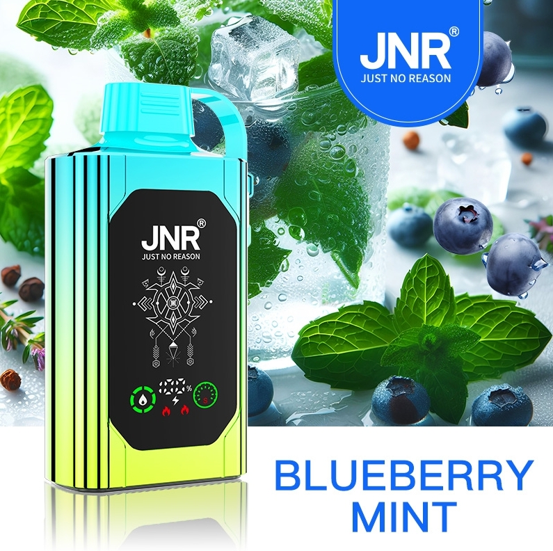 Taste the Outback Chill: Why the JNR SHISHA BOX 30000 in Blueberry Mint is Your Next Vape Obsession