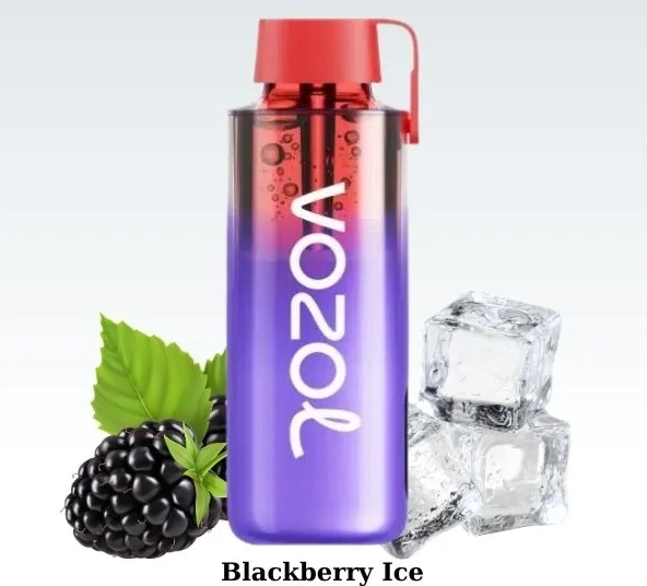 Discover the VOZOL NEON 10000 Puffs Vape - BLACKBERRY ICE: A Game-Changer in New Zealand’s Vaping Scene
